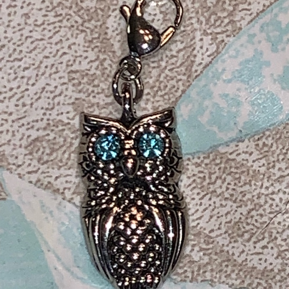 Origami Owl - Owl dangle with blues eyes
